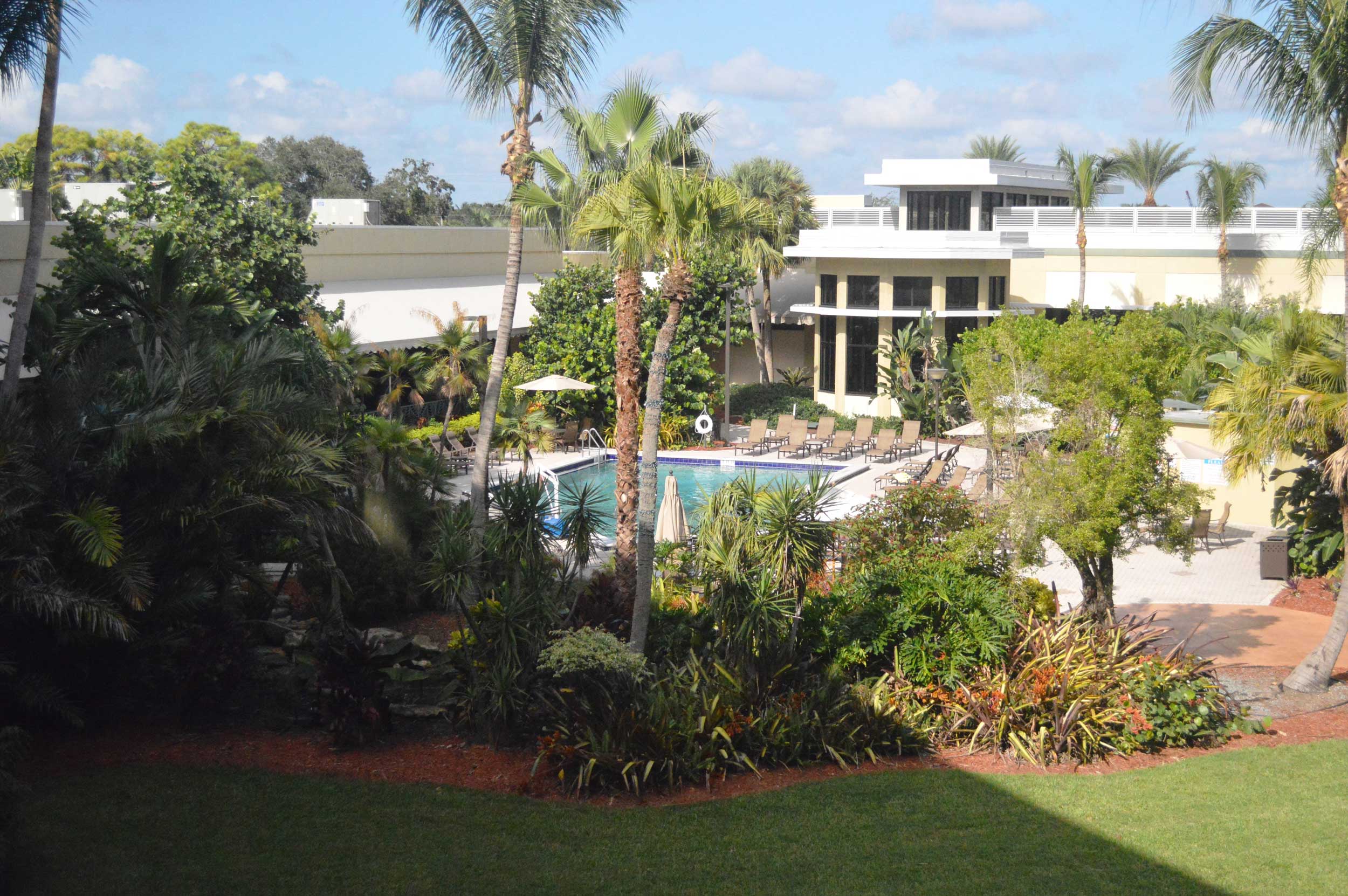 View of the pool at the DoubleTree